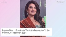 Priyanka Chopra séparée de Nick Jonas ? Elle tente de noyer le poisson...