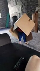 Child Runs Around in Cardboard Box and Bumps into Wall