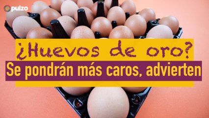 ¿Huevos de oro? Se pondrán más caros, advierten | Pulzo