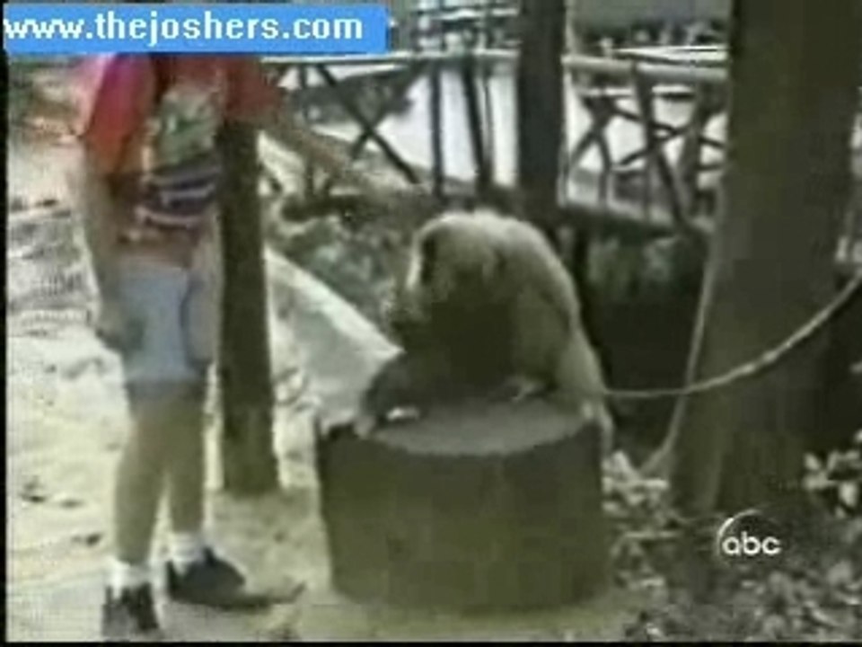 Rascame la cabeza