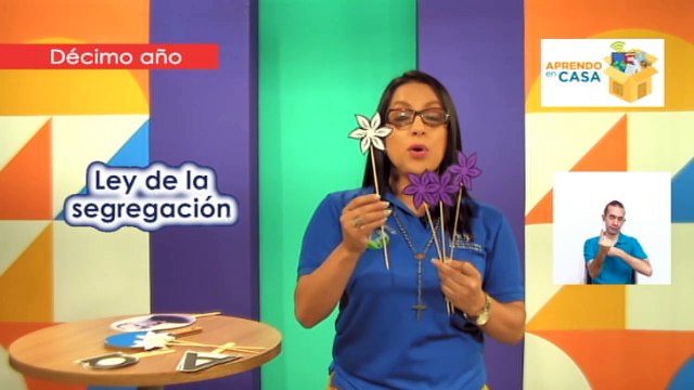 Biología: Introducción a la Genética (Secundaria - Pruebas FARO)