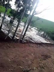 Represa rompe, atinge pastos, estrada e interdita ponte no Sul de Minas