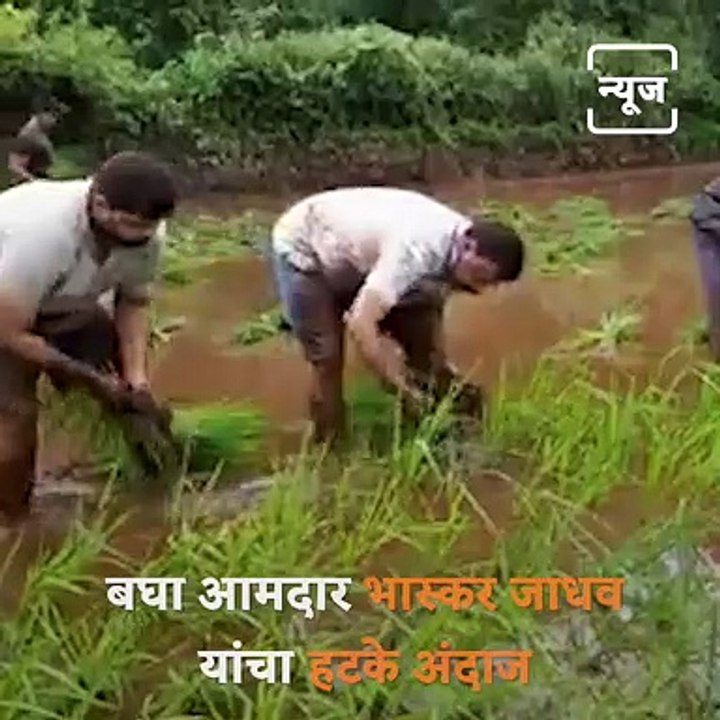 Watch: MLA Bhaskar Jadhav Drive Brand New Bus
