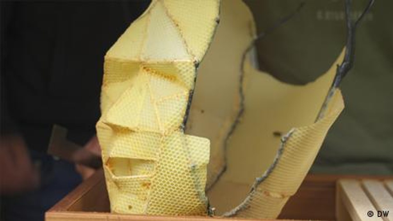 Bienen als Künstler: Skulpturen aus Wachs