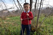 Küçük Mustafa'nın ağaç dallarıyla 