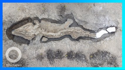 Penemuan Fosil Naga Laut Raksasa di Waduk Inggris