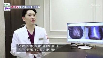 단백질 함량↗ 탈모 방지에 도움 주는 『맥주효모』 TV CHOSUN 20220116 방송