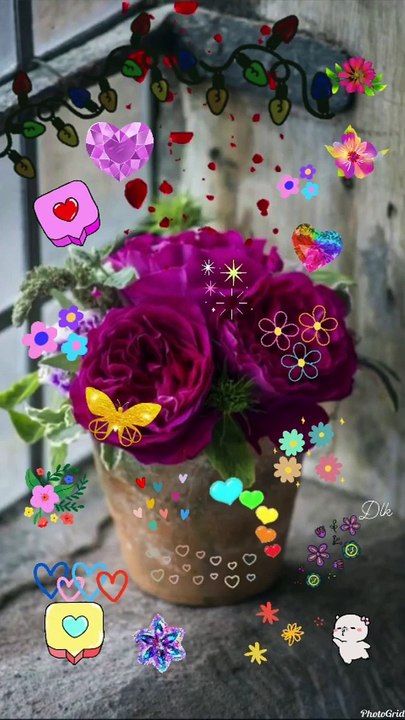 Good evening