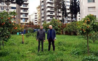 MİNERALLİ JEOTERMAL SUYLA GÜBRESİZ TARIM