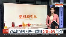 바짝 메마른 겨울…1월 산불 3배 급증 '비상'