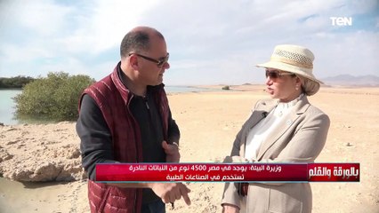 الديهي: محمية رأس محمد ثالث مكان اشعر فيه بالقدسية بعد الحرمين والقدس