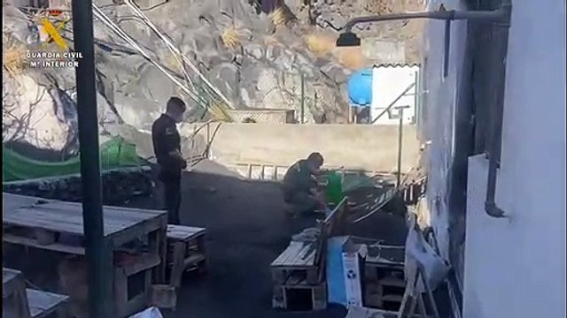 Encuentran varias aves muertas por los gases del volcán de La Palma