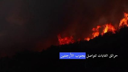 حرائق الغابات تتواصل بجنوب الأرجنتين وأحدها مستمر منذ شهر