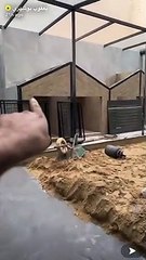 يعقوب بوشهري يكشف عن بنائه "منزلا" متكاملا لكلابه