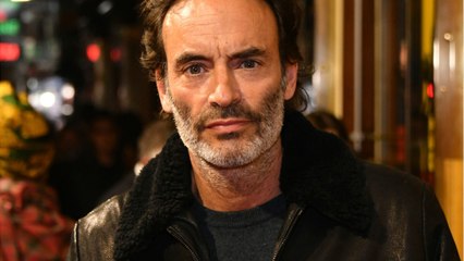 VOICI : Anthony Delon : son déchirant projet concernant les derniers jours de la vie de sa mère, Nathalie