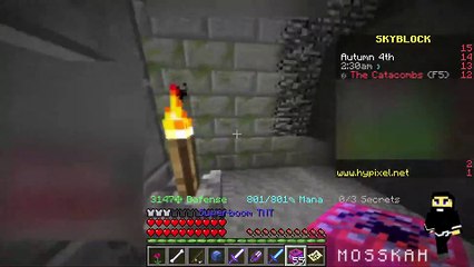 All secrets, 1x1 room 15 - Hypixel's skyblock dungeons, Minecraft