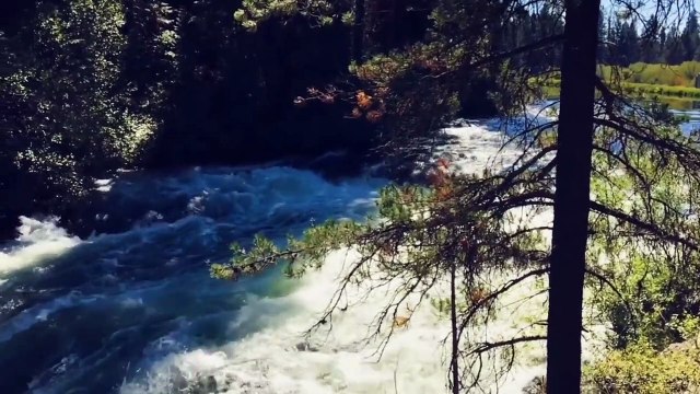 Beautiful Relaxing Music for Stress Relief • Meditation Music, Sleep Music, Ambient Study Music