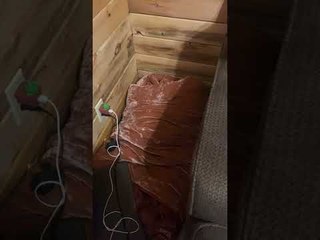 Dog Bribed Out of Bed With the Promise of Cheese