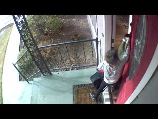 Brother’s Ninja Moves Stop Annoying Plan in an Instant