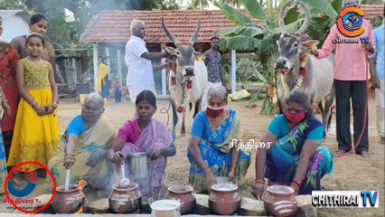 #cithiraitv #கோவை மற்றும் அதன் சுற்றுப்புற கிராமங்களில்  மாட்டுப் பொங்கல் பண்டிகை |