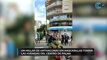 Un millar de antivacunas sin mascarillas toman las Avenidas del centro de Palma