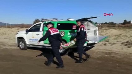MAHSUR KALAN HAMİLE KEÇİYİ JANDARMA VE AKUT SEFERBER OLUP, KURTARDI