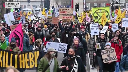 Hundreds take part in 'Kill the Bill' protest in London