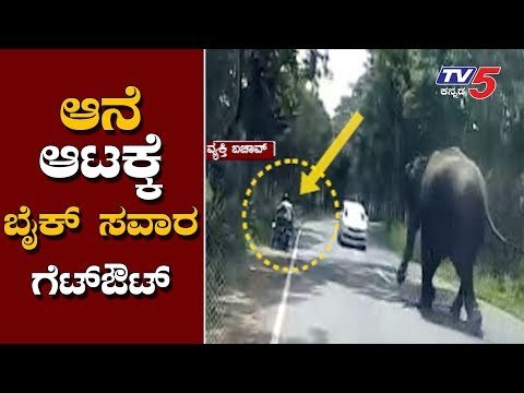 ಆನೆ ಆಟಕ್ಕೆ ಬೈಕ್ ಸವಾರ ಗೆಟ್‌ಔಟ್..! | Elephant Chasing Bike Rider in Chamrajnagar | TV5 Kannada