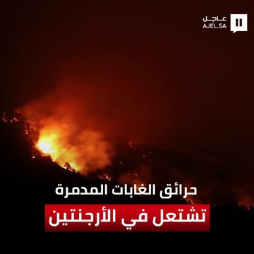مع ارتفاع الحرارة لتقترب من 40 درجة.. شاهد حرائق الغابات تستعر جنوب الأرجنتين