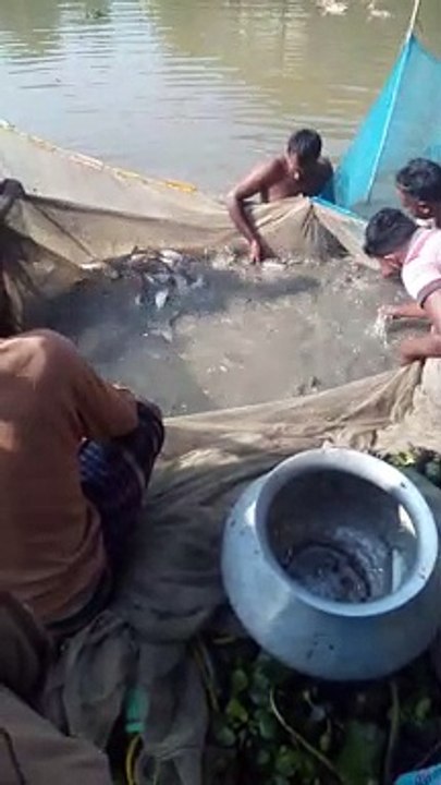 Catching fish