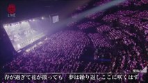 2022.01.09 櫻坂46 3rd Single BACKS LIVE!! DAY2 Part4(Last)