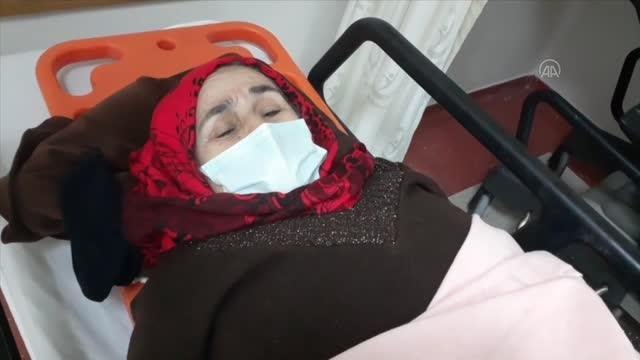 Sokak köpeklerinin saldırısına uğrayan kadın yaralandı