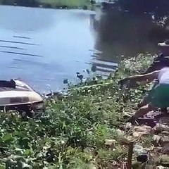 Video: Varias personas maltratan a la manatí Juanita