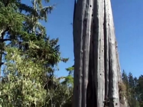 Mega Disasters S01E01 West Coast Tsunami