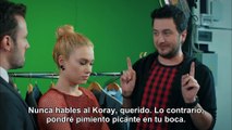 Amor en Alquiler – Kiralık Aşk Capitulo 24 (Subtitulada)