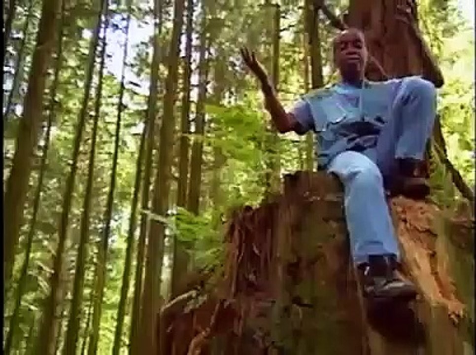 Bill Nye- The Science Guy - S02E15 - Forests