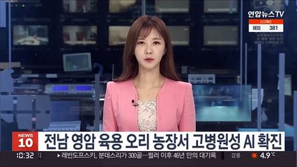 전남 영암 육용 오리 농장서 고병원성 AI 확진