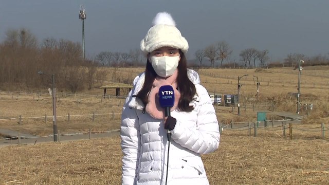 [날씨] 낮부터 찬 바람 '쌩쌩'...내륙 곳곳 한파특보 / YTN