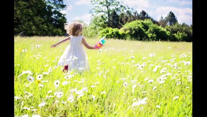 Daffodils and Daisies Dr. Robert Ownby