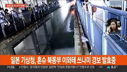 '해저화산 폭발 쓰나미' 일본·통가 피해…경보 해제