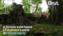 Cambodge : l'atmosphère unique du temple de Ta Prohm