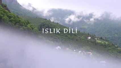 "Yaşayan İnsan Hazinesi" ödüllü Mustafa Civelek, "ıslık dili"nin kaybolmayacağına inanıyor