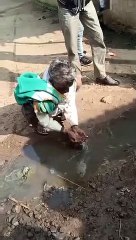 दो हजार रुपये की शर्त के लिए पी लिया नाली का पानी, वीडियो हुआ वायरल