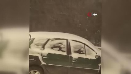 Posof'ta tipi hayatı olumsuz etkiliyor