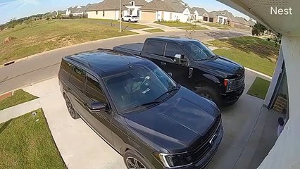 Il se prend la porte du garage en pleine face... et ça fait mal