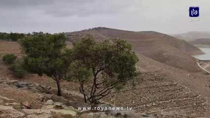 تساقط أمطار الخير في عجلون الأحد