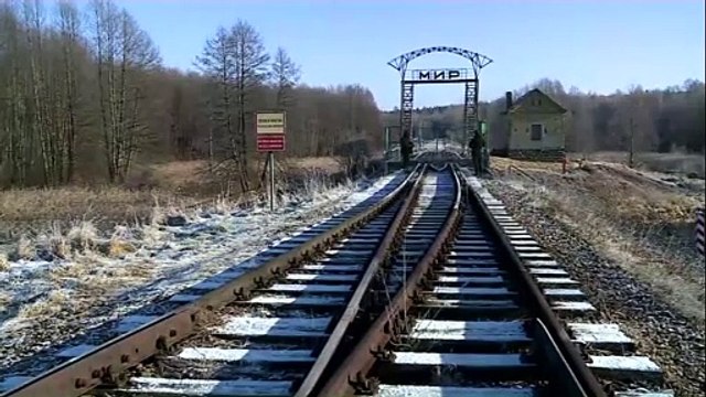 Las autoridades polacas detienen a traficantes de migrantes en la frontera con Bielorrusia