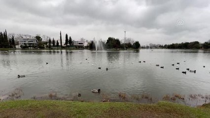 Fuar alanındaki gölette kış sessizliği