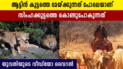 ഹോ ഇതെന്തൊരു സ്ത്രീ.. സിംഹങ്ങളുടെ വാലും പിടിച്ച് നടക്കുന്നത് കണ്ടോ