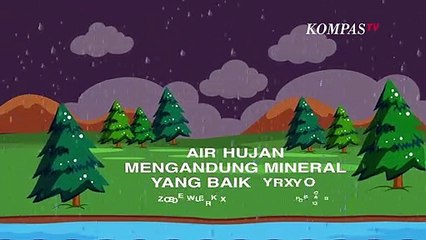 Benarkah Air Hujan Bikin Tanaman Lebih Subur? Begini Penjelasannya Menurut Sains